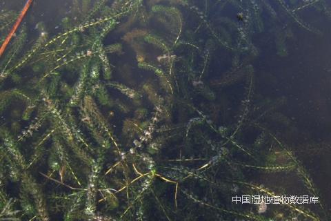 1541664830382294.png 佚名_min.png